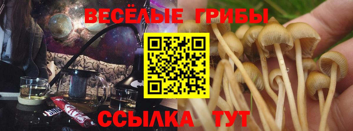 Острогожск  купить наркоту  Вход с VPN  Галлюциногенные грибы мухоморы  Галлюциногенные грибы прущие грибы 