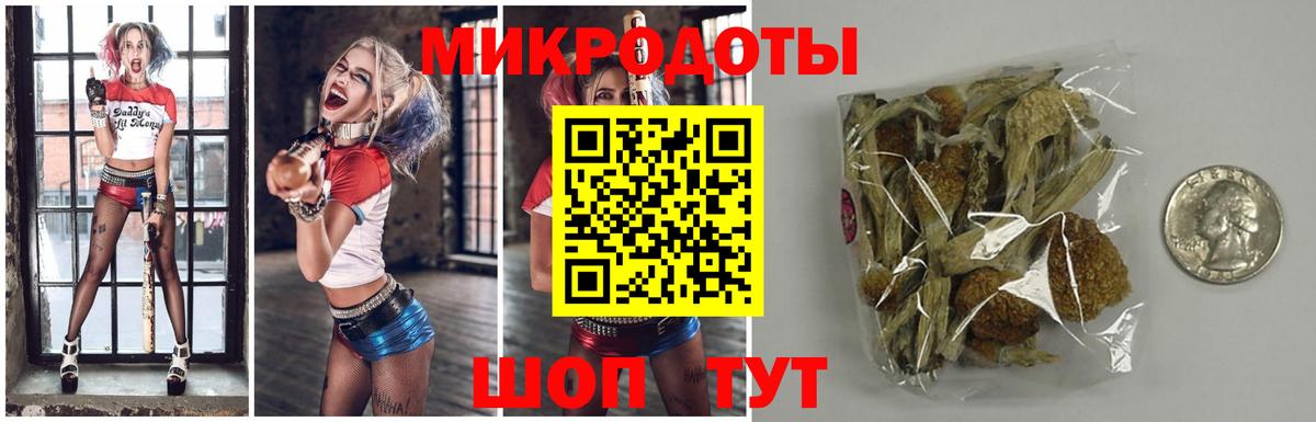 Псилоцибиновые грибы Psilocybine cubensis Острогожск